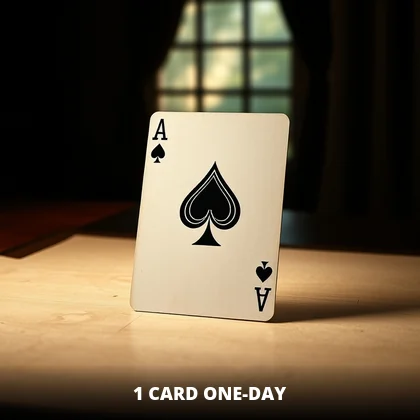 1 Card One Day live round on 99Exch